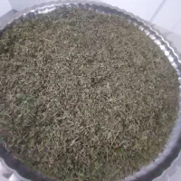 حراج آویشن