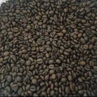 پخش عمده قهوه و پودریجات با کیفیت بالا و قیمت خوب