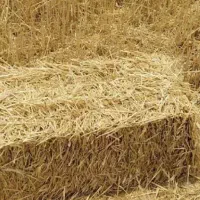 پرس کلش گندم