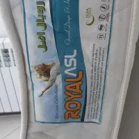 تشک رویال اصل
