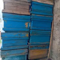 جعبه زنبور