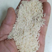 برنج هاشمی