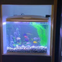 اکواریوم ماهیران ۵۰ در ۴۵ همراه با تمامیه تجهیزات