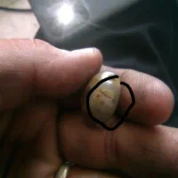 نگین بابا قوری موکل دار