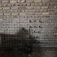وسایل رگال جوراب و لباس زیر