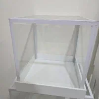 باکس گل و نامزدی