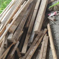 چوب نراد و تخته برای قالب و سربندی و حلب و پرسیانا