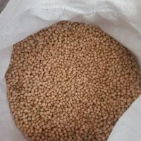 نخود درجه یک