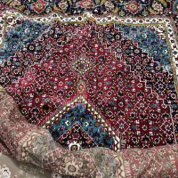 فرش|فرش|کلاچای, |دیوار