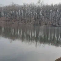 استخدام کارگر برای استخر پرورش ماهی و سرایه داری