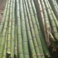 فروش انواع چوب بامبو (نی پرچم)