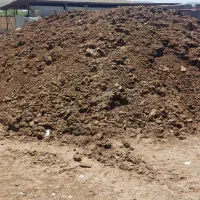 فروش کود گاوی