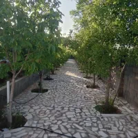 باغ ۱۴۰۰ متری لوکس با آب و کنتور برق و نگهبانی