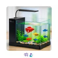 اکواریوم تخفیف تخفیفه