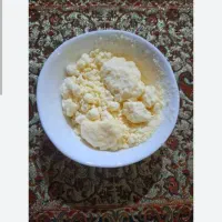 فروش پنیر گوسفندی خیکی