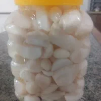 ترسی  موسیر کوهی  خواص درمانی بشرط تست