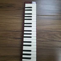 Yamaha P37d|سازهای بادی|شیراز, قدوسی غربی|دیوار