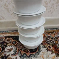 ظروف سرامیکی