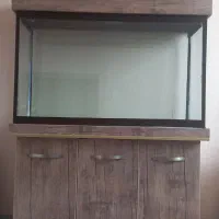 آکواریم