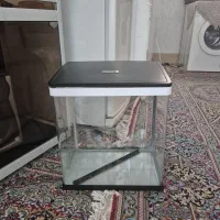 آکواریوم