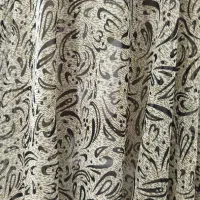 کفش و چادر مجلسی