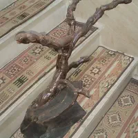 استند پرنده