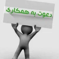 استخدام رسمی