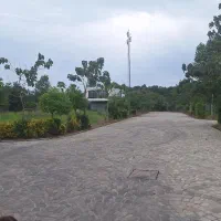 زمین ۳۰۰ متری شهرک اناناس سند تکبرگ