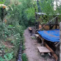 کلبه ی سنتی