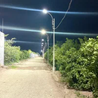 باغچه