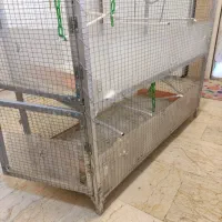قفس بزرگ پرنده