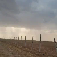 زمین-هکتاری-مناسب-نیروگاه-خورشیدی-گاوداری
