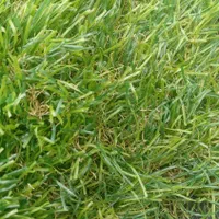 بزرگترین مرجع تخصصی چمن مصنوعی نو و دست دوم