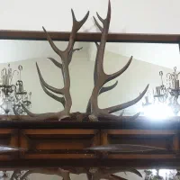 یک جفت شاخ گوزن (مارال مازندران )