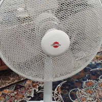 پنکه نو
