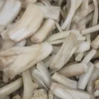 کنگر  نیمه آماده