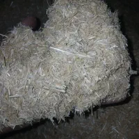 کاه گندم نخود لوبیا