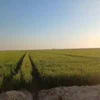 فروش زمین کشاورزی