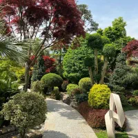 طراحی و اجرای فضای سبز و چمن