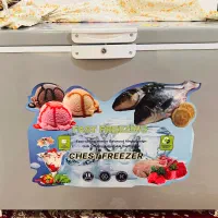یخچال فریزر صندوقی