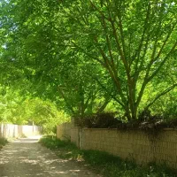 باغچه 1000متری در بهترین لوکیشن شهر فاروق