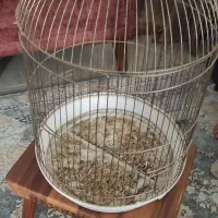 قفس پرنده