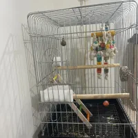 قفس پرنده بدون  پایه