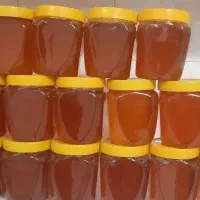 عسل طبیعی سبلان (به شرط) + ارده ممتاز اردکان