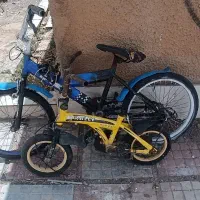 دو عدد دوچرخه
