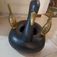 تیوپ قو و جلیقه بادی استخر