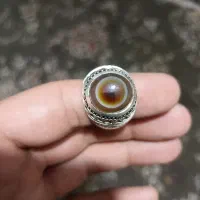 بابا قوری ذات دار هندی