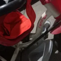 سه چرخه فلامینگو اصل