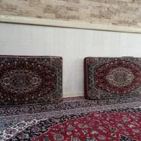 دو جفت پشتی