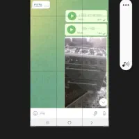 گاز5شعله آشپزخانه